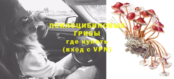 герыч Алексин